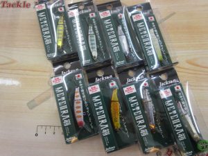 🐟{新品入荷情報🎣)