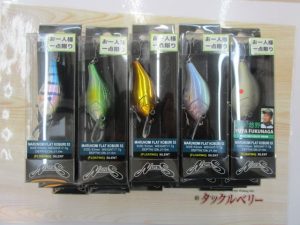 BiGBerrｙ上越店マルノミフラッﾄコブリ入荷しました！！！