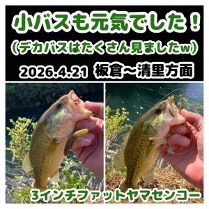 ★バス釣り★スタッフ釣果情報★【ビッグベリー上越店】