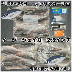 ★アジングスタッフ釣果情報②★【ビッグベリー上越店】