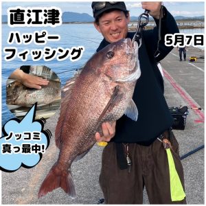 ★マダイ80ｃｍ!!スタッフ釣果情報★【ビッグベリー上越店】