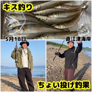 ★キス釣り★スタッフ釣果情報★【ビッグベリー上越店】