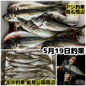 ★アジ・キス★スタッフ釣果情報★【ビッグベリー上越店】