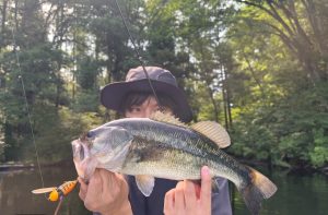 BiGBerry上越店　バス釣り釣果情報！！