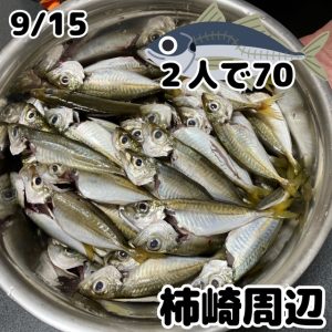 ★アジング釣果★【ビッグベリー上越店】