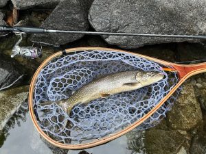 中禅寺湖ｺｰﾅｰ♪