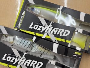 ﾚｲｼﾞｰﾊｰﾄﾞSW入荷♪