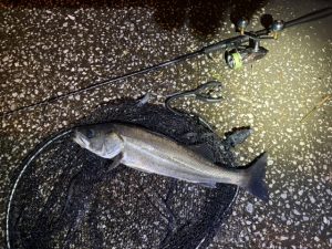 【BiG Berry 下総古河店】雨が降ったら久しぶりに…
