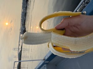 【東京湾ボートマゴチ】照りゴチって言うけど、俺の方がテカテカしてるからな！？