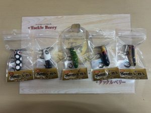 新製品ズマーナ＆中古バス・ソルトルアー大量入荷！中古のフォルテとデイジーも多数入荷です！