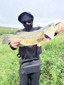 スパテラで釣れないなら帰ろう