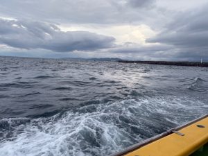 相模湾コマセマグロへ行ってきました。