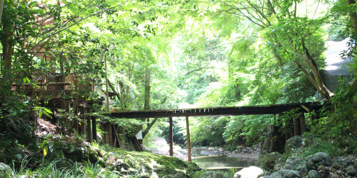 深澤渓自然人村の綺麗な緑の写真