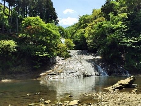 養老渓谷の川の写真