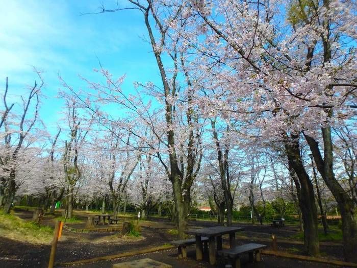 こども自然公園のバーベキュー広場
