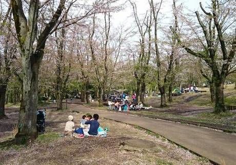 こども自然公園でピクニックを楽しむ家族連れ
