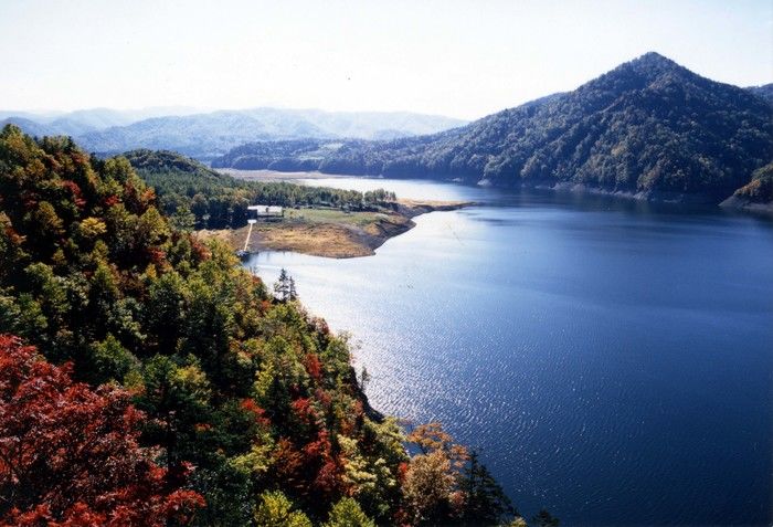 岩尾内湖白樺キャンプ場