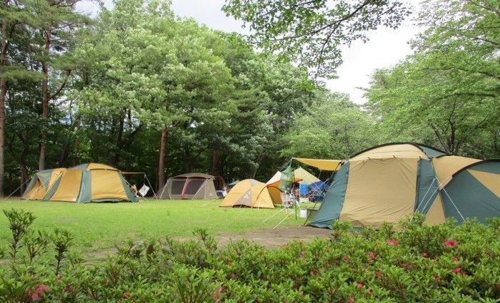 那須野が原公園のテントサイトの写真