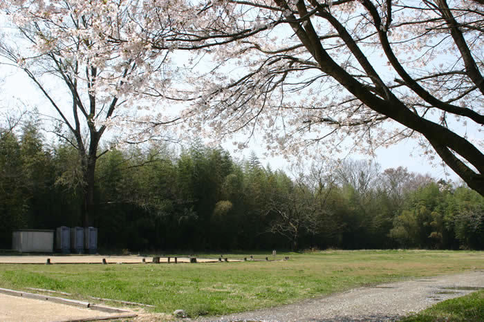 宮原青少年野外活動広場の広場の写真