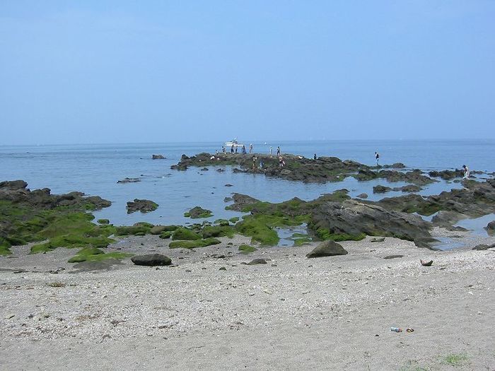 砂浜から海を見ている写真