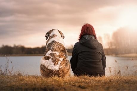 湖の辺りに女性と犬が座っている写真