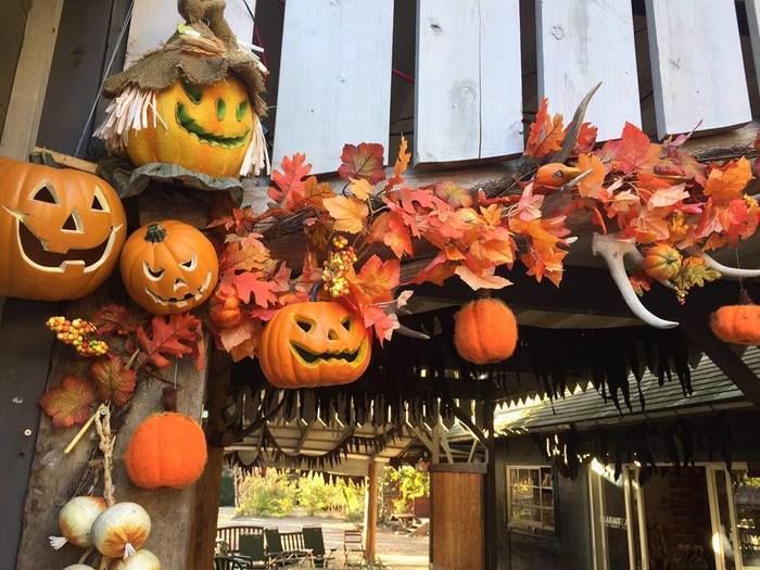 赤城山オートキャンプ場のハロウィン