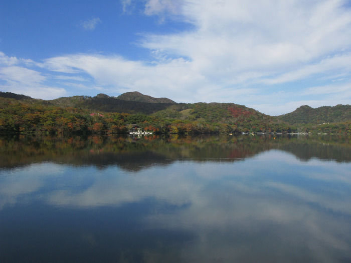 湖と紅葉しかけた森の写真