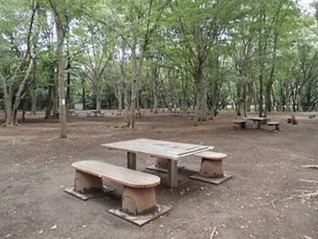 東京公園協会の広場のベンチの写真