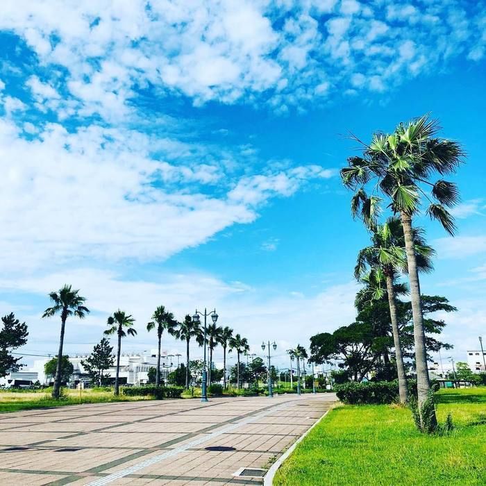 二色の浜公園沢地区の写真