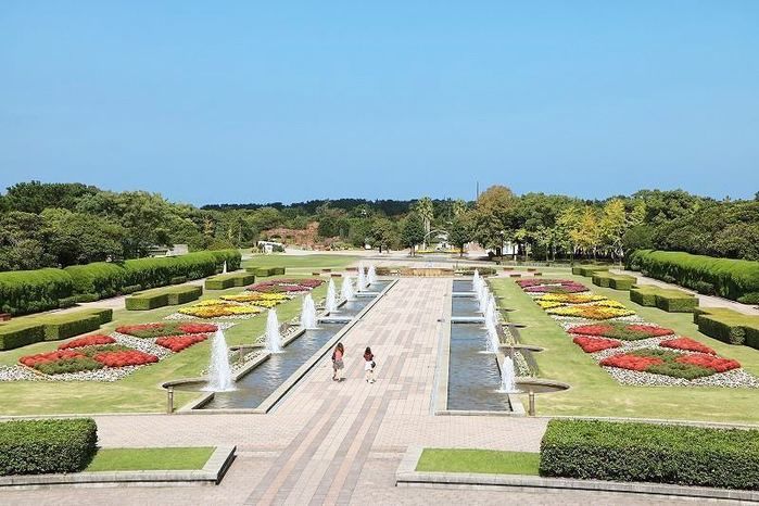 海の中道海浜公園の様子
