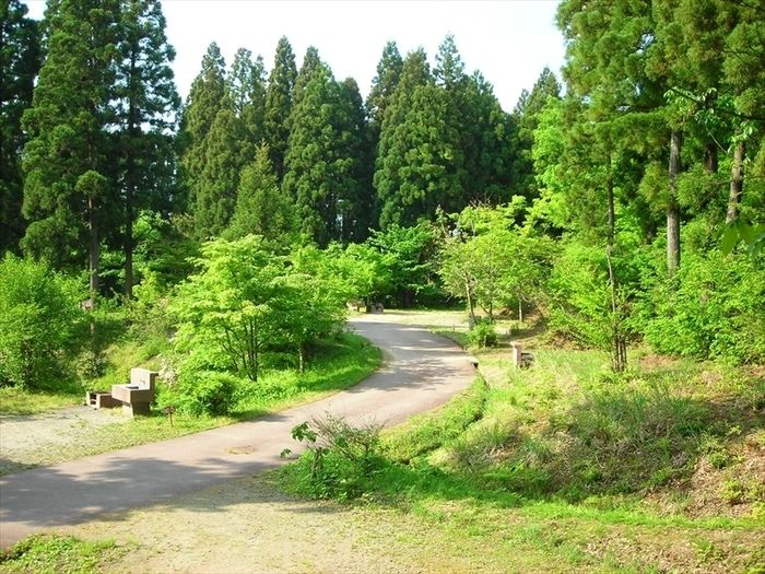 立山グリーンパーク吉峰の自然豊かな写真