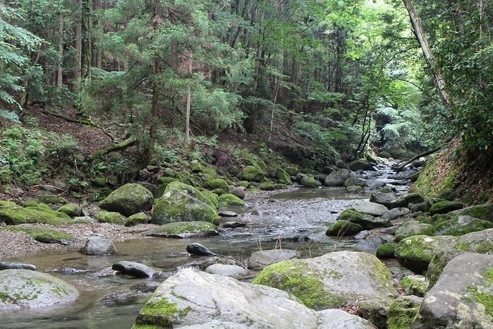 清川リバーランドの側の川の様子