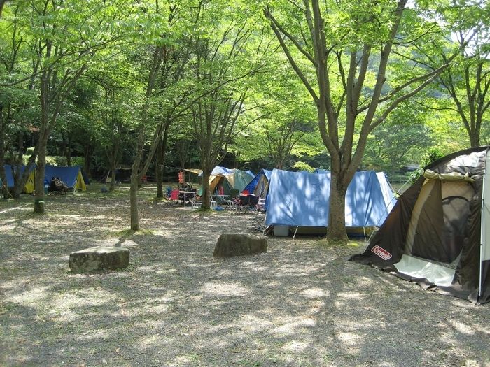 みと自然の森のキャンプサイトの写真