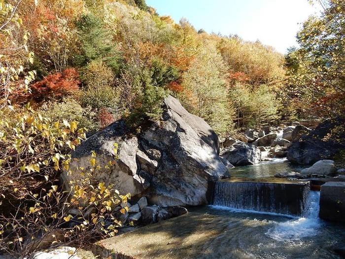 紅葉した木々の脇を流れている渓流