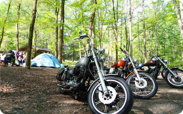 まほーばの森に止めてあるバイクの写真