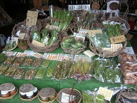 直売所の野菜の写真