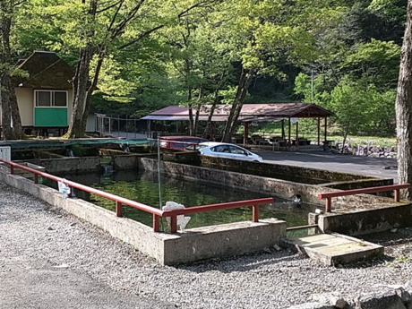釣り体験ができる釣り堀の写真