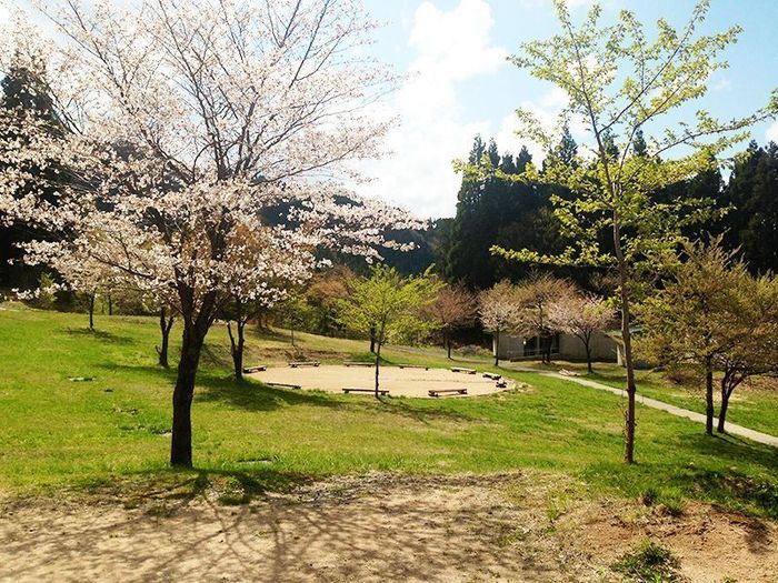 とちのき村の広場の写真
