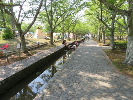 妹背の里の通路の写真