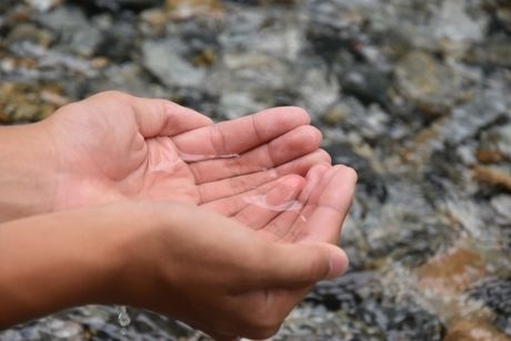手で水をすくう様子