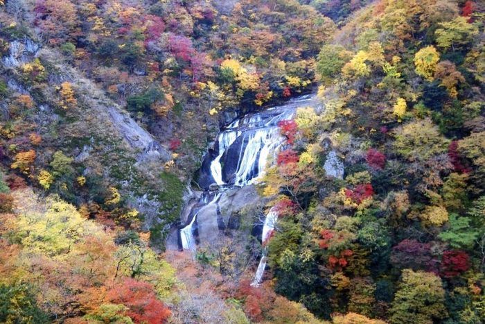 紅葉している木々の中に流れている袋田の滝