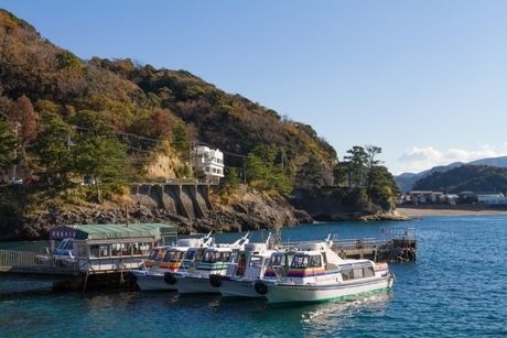 港に止まっているクルーズ