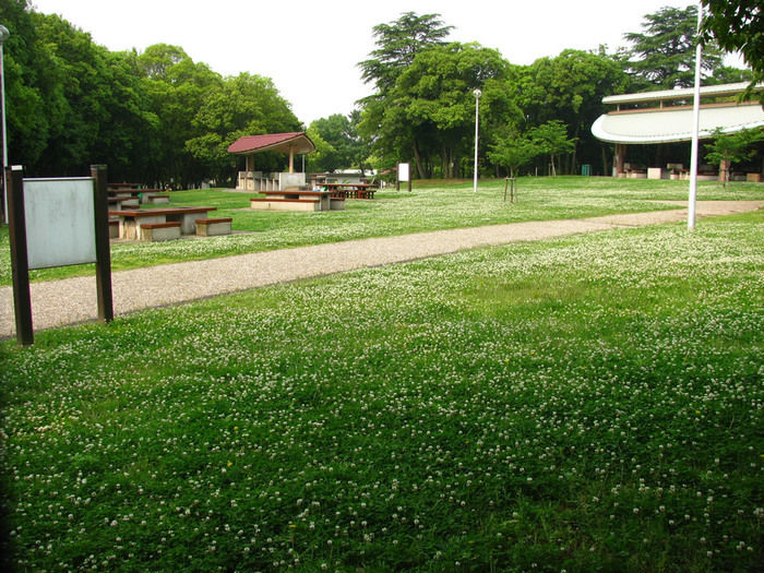 服部緑地公園のハーベックマルシェ