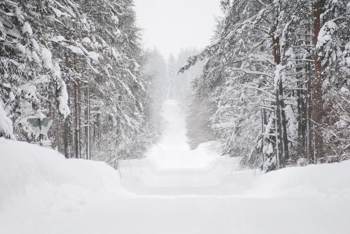 雪の道