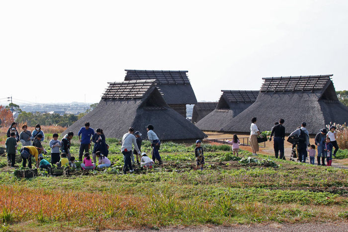 吉野ヶ里歴史公園