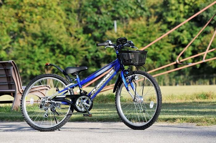 キャプテンスタッグの自転車