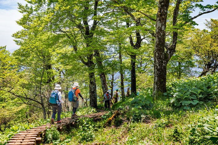 登山をしている人たちの写真