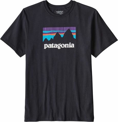 パタゴニアのTシャツの写真