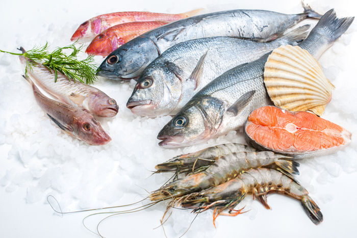 魚