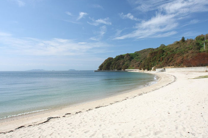 海岸